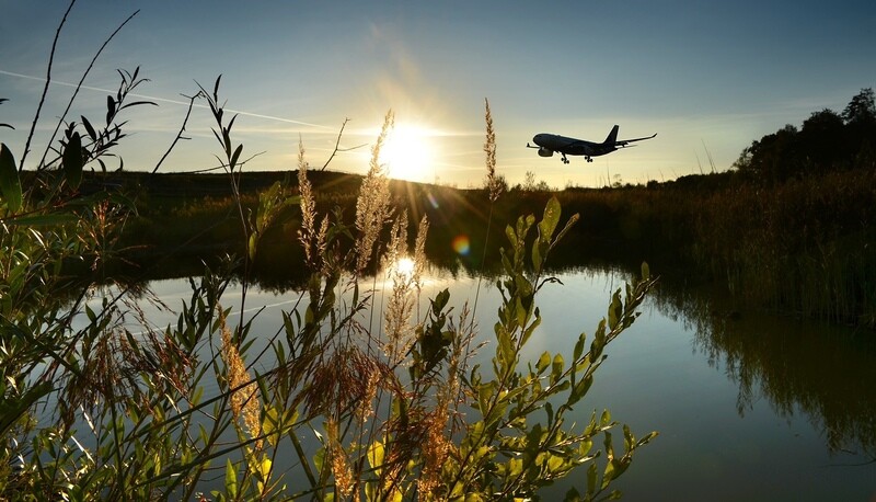 Aviatik / SUNSET OVER REED POND AT ZURICH / (S) (M) (L) / Ab CHF 44.00