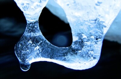 Eis / EIS PUR 41 / (S) (M) / Ab CHF 44.00