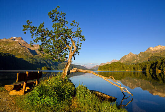 Landschaft 2 / (S) (M) (L) / Ab CHF 44.00