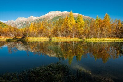 Landschaft 11 / (S) (M) (L) / Ab CHF 44.00