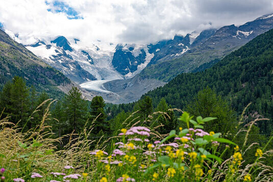 Landschaft 12 / (S) (M) (L) / Ab CHF 44.00