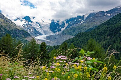 Landschaft 12 / (S) (M) (L) / Ab CHF 44.00