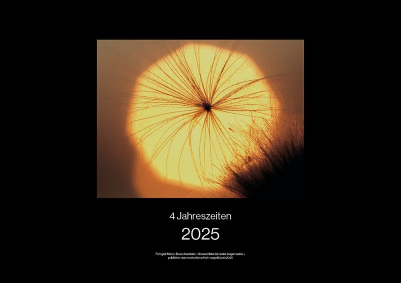 4 Jahreszeiten 2025 Kalender (schwarze Variante) / Ab CHF 39.00