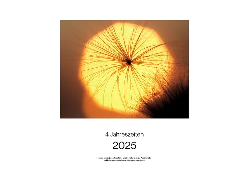 4 Jahreszeiten 2025 Kalender (weisse Variante) / Ab CHF 39.00