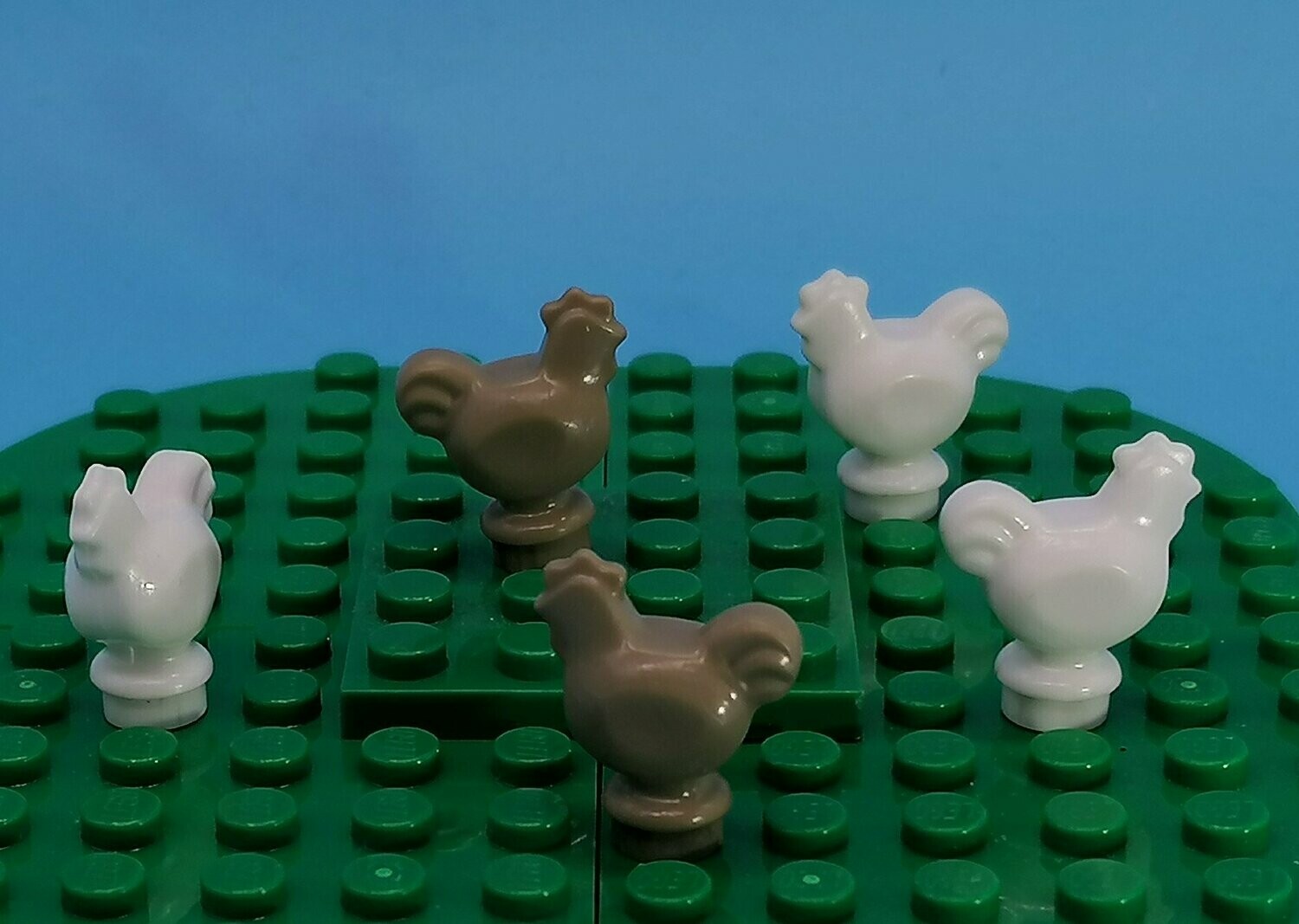5 Hühner für Minifiguren