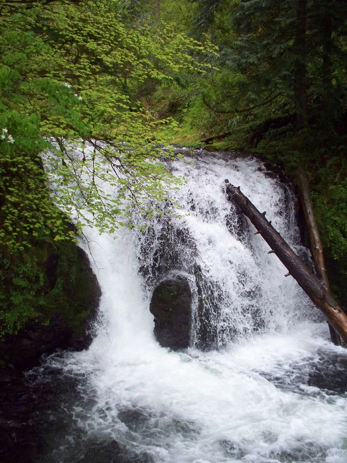 Multnomah Falls