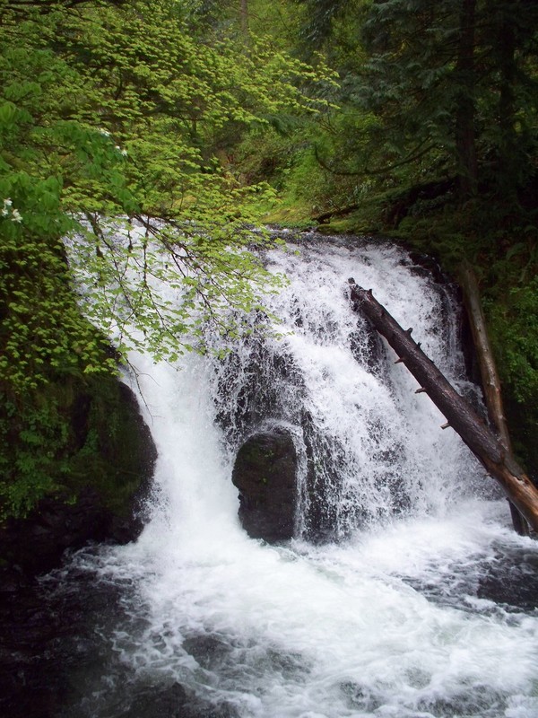 Multnomah Falls