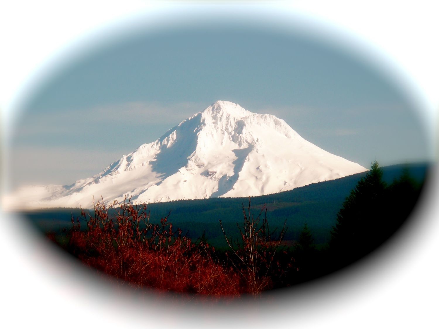 Mount Hood Post Card