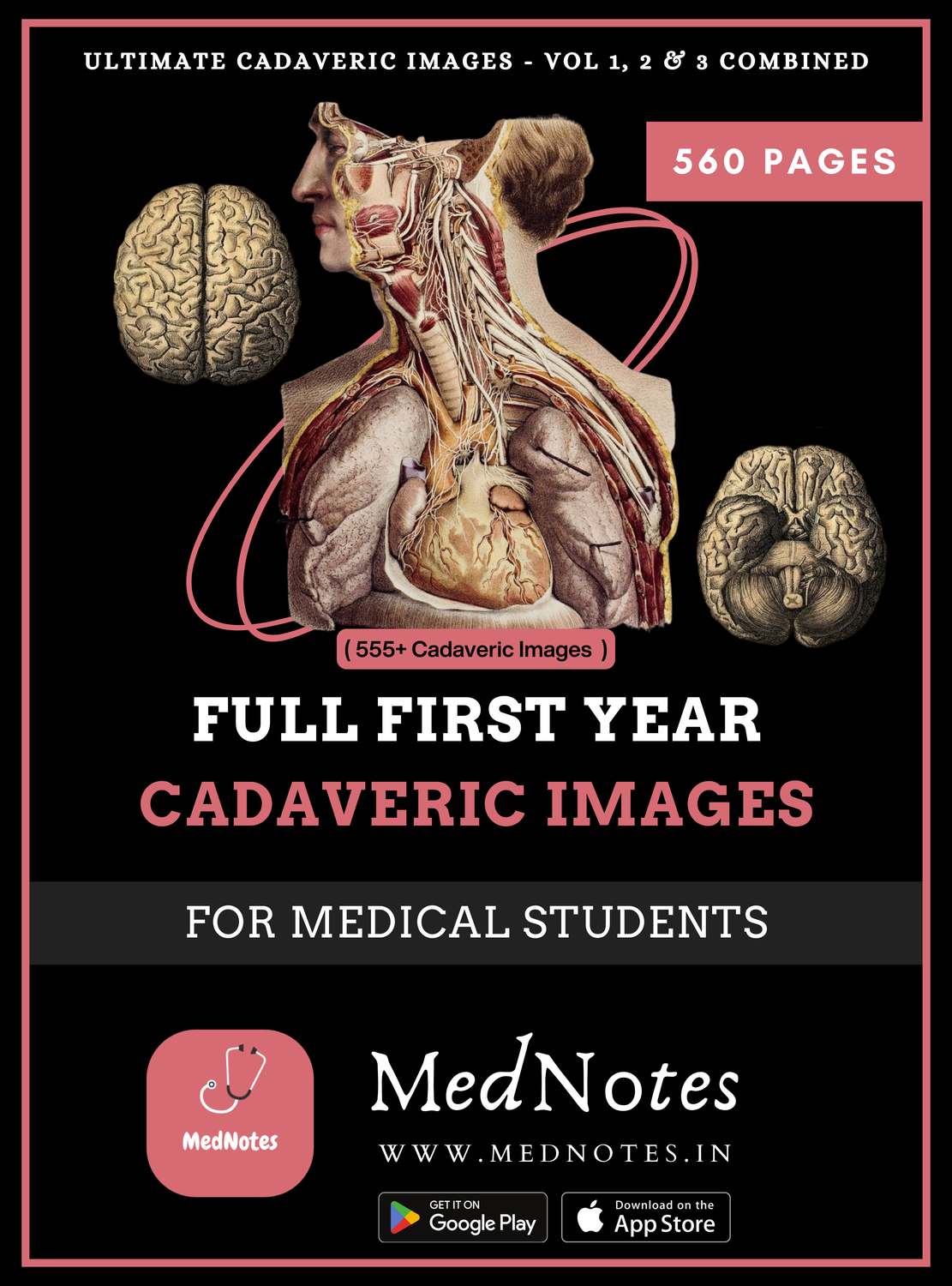 Full First Year Cadaveric Images - MedNotes Ebook