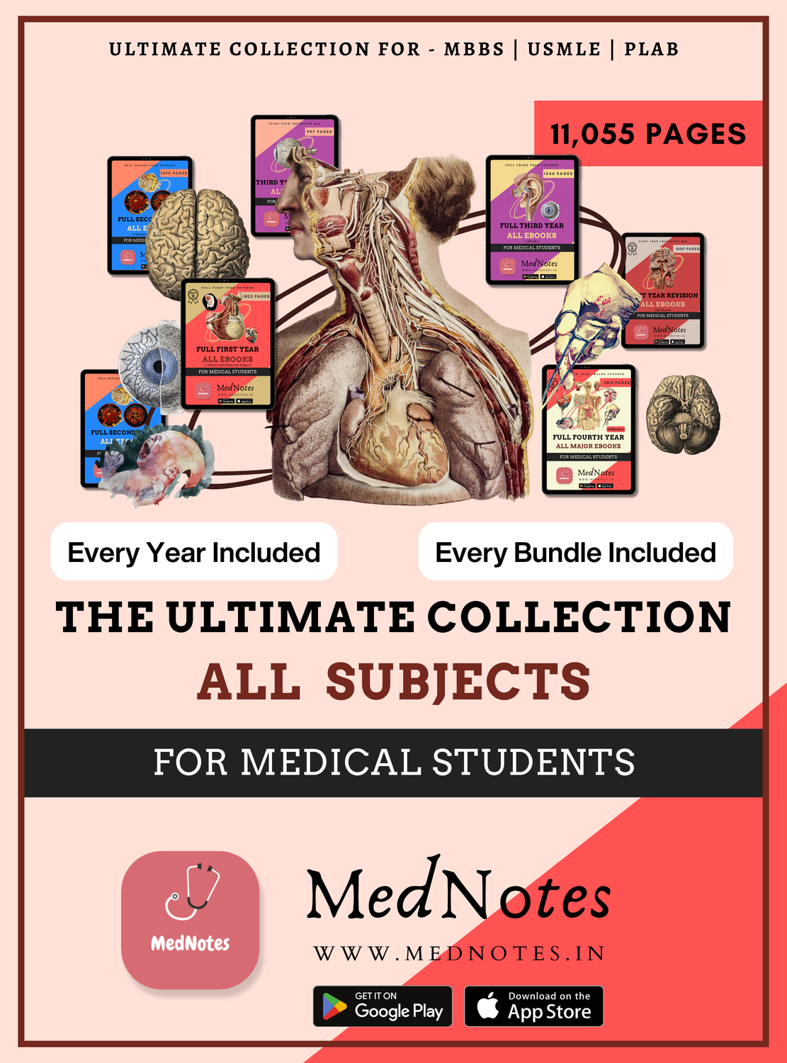 The ULTIMATE COLLECTION - All Subjects - Every Bundle Included