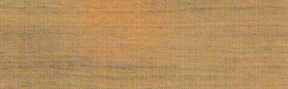 Furniersockel 60 x 15mm pro Meter