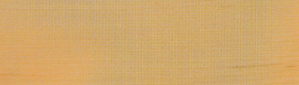 Staubleisten 30 x 8mm pro Meter