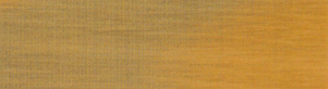 Staubleisten 30 x 8mm pro Meter