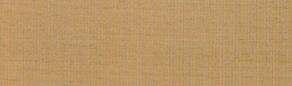 Staubleisten 30 x 8mm pro Meter