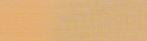 Staubleisten 30 x 8mm pro Meter