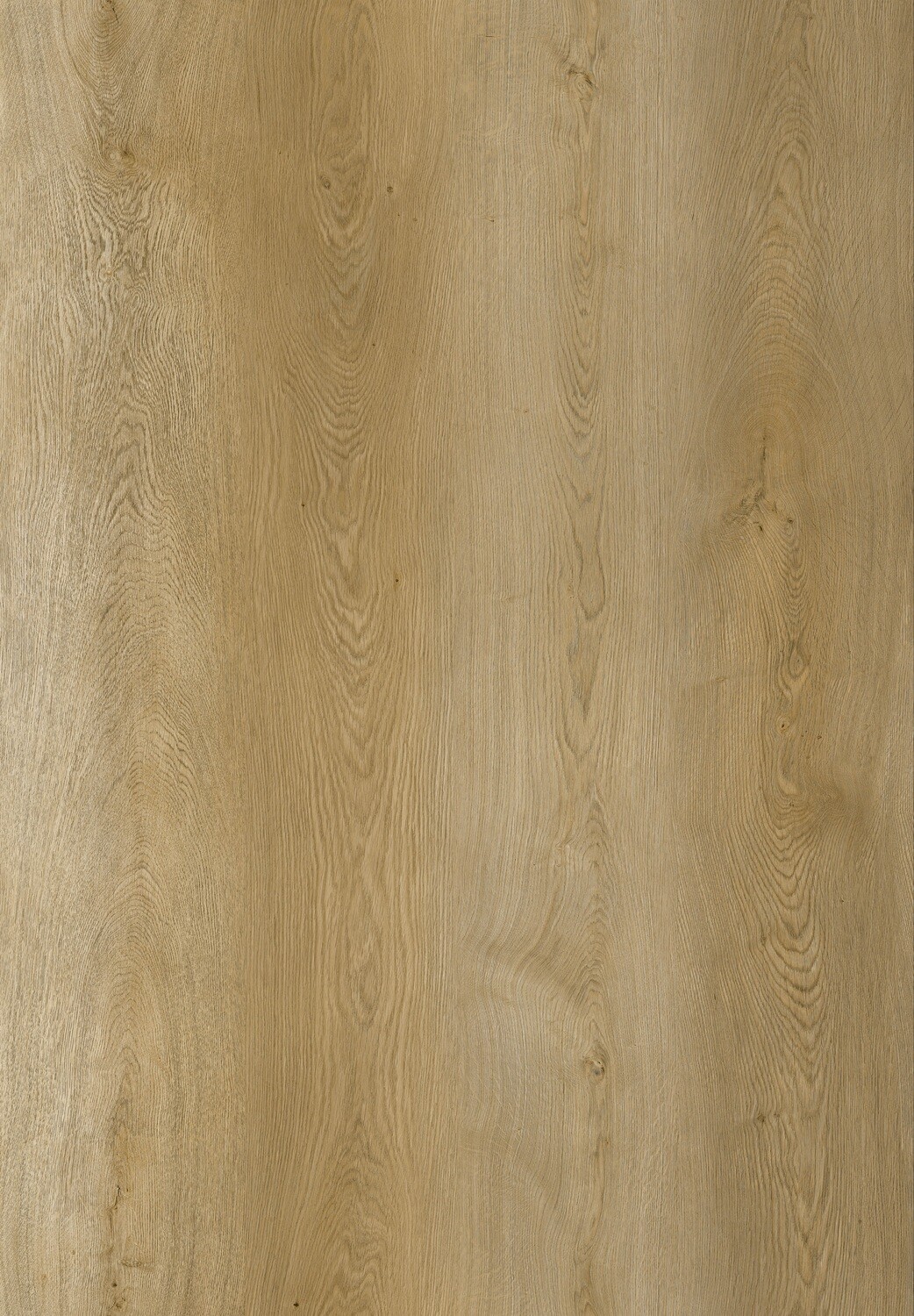 Vinylboden Light Majestic Oak mit Trittschall 1.5mm pro 1m² Stärke 8mm x 220mm x 1840mm