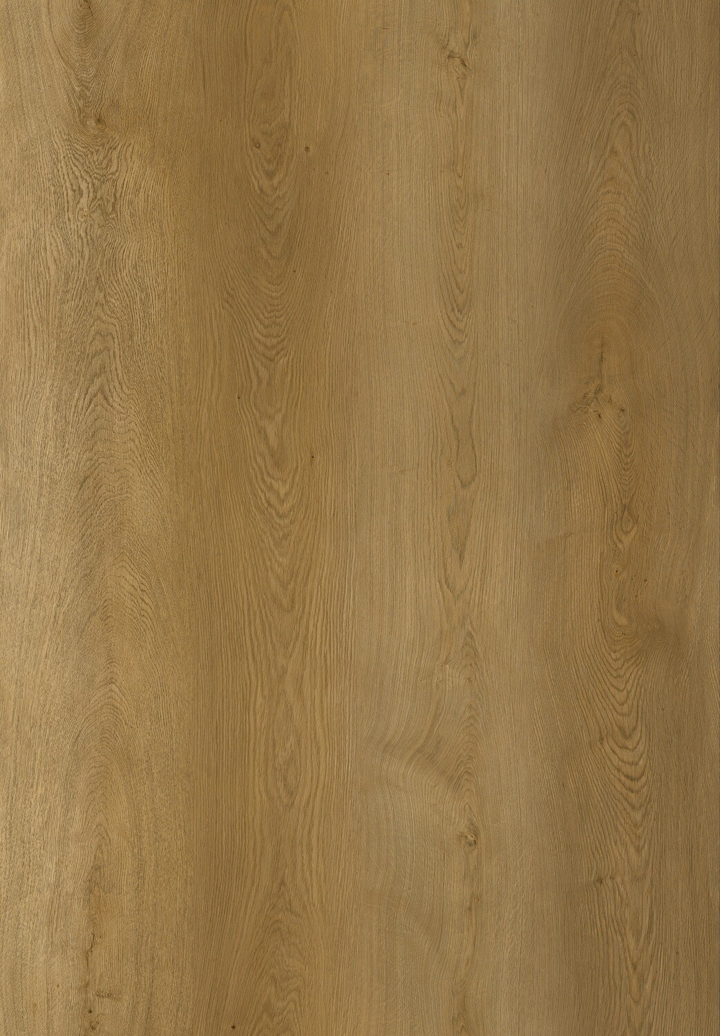 Vinylboden Natural Majestic Oak mit Trittschall 1.5mm pro 1m² Stärke 8mm x 220mm x 1840mm