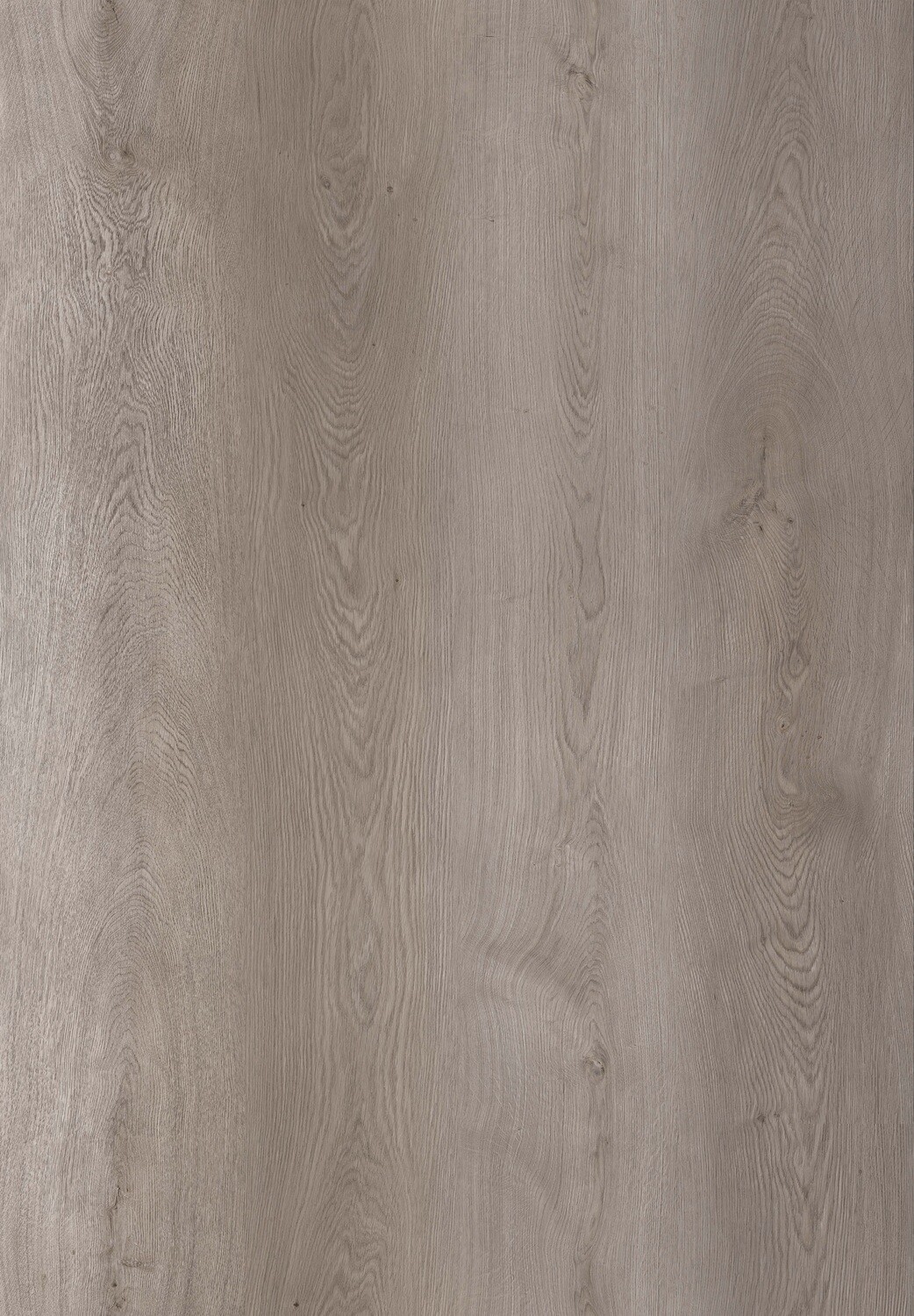 Vinylboden Grey Majestic Oak mit Trittschall 1.5mm pro 1m² Stärke 8mm x 220mm x 1840mm