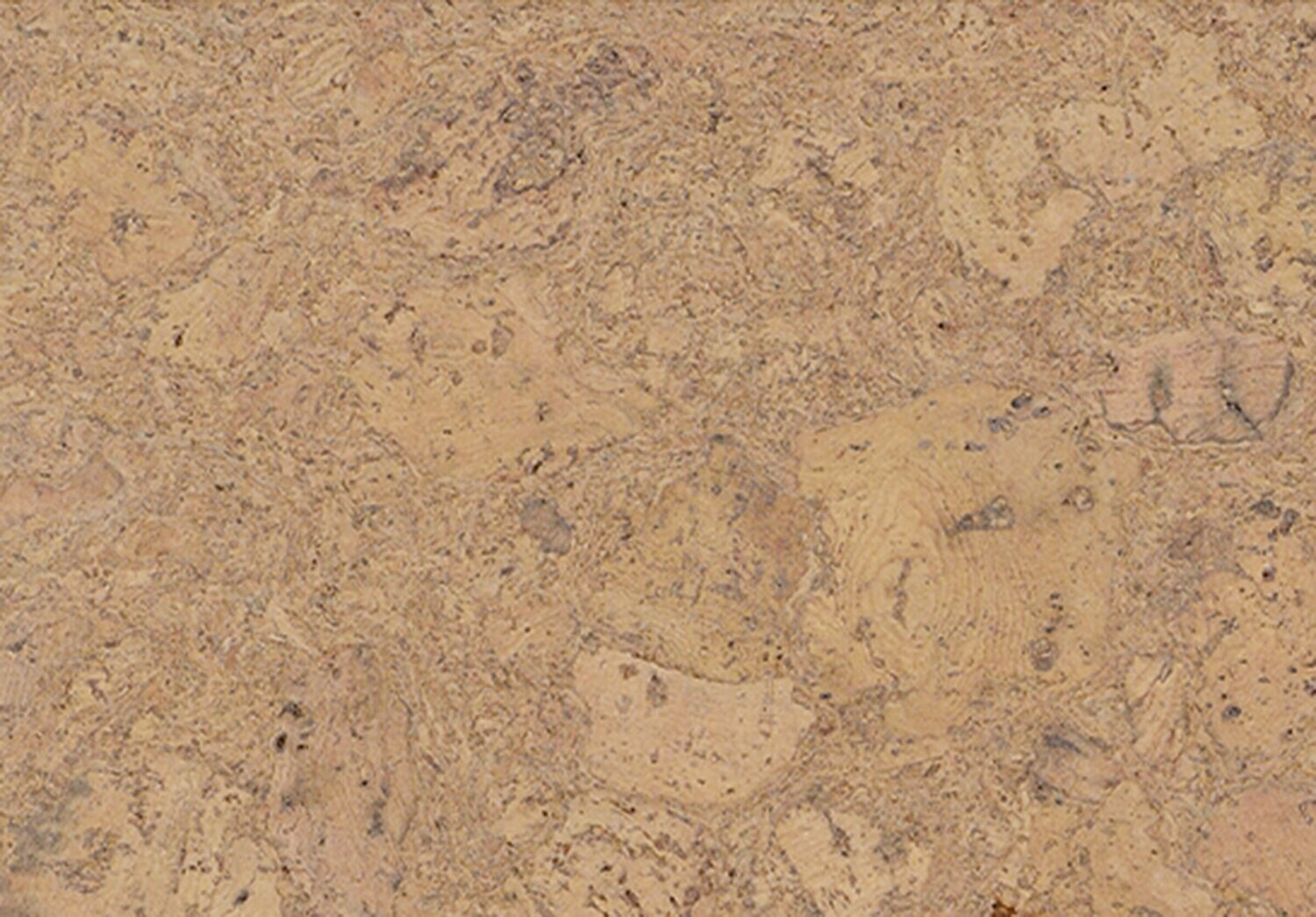 Korkboden Personality Champagne pro 1m² Stärke 10.5mm x 295mm x 905mm