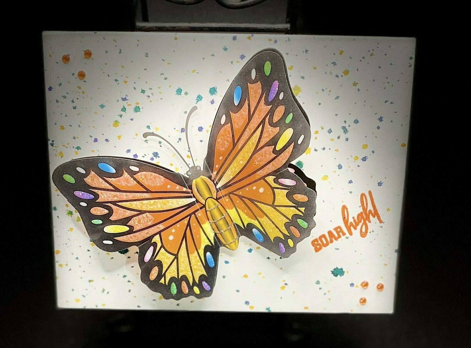 Soar High! Soar High!