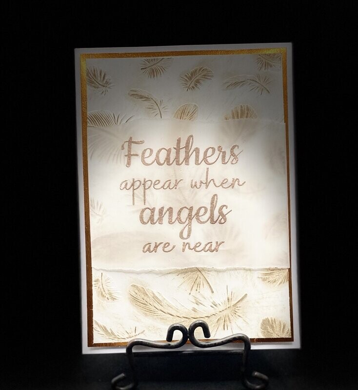 Feathers Feathers