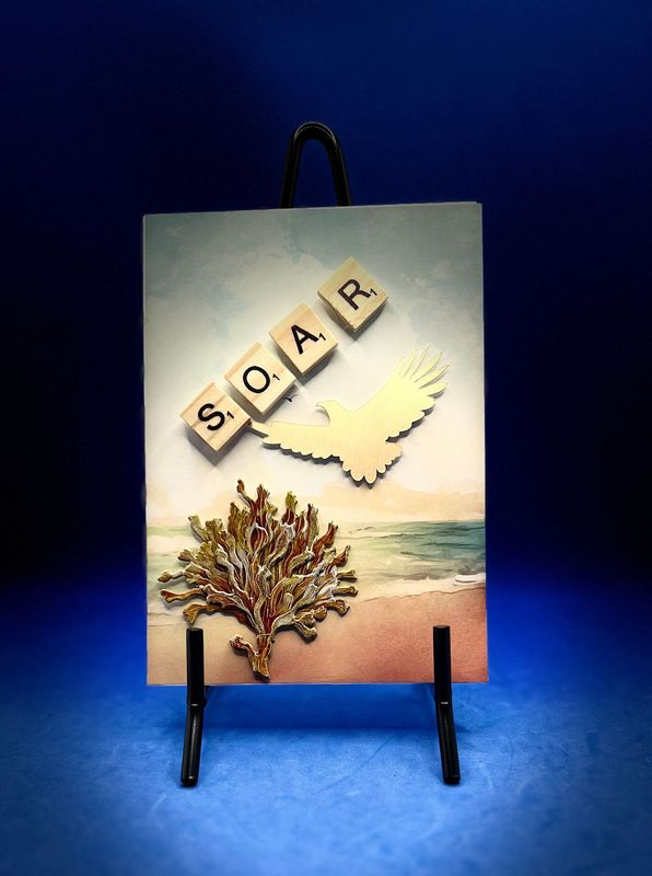 "SOAR"