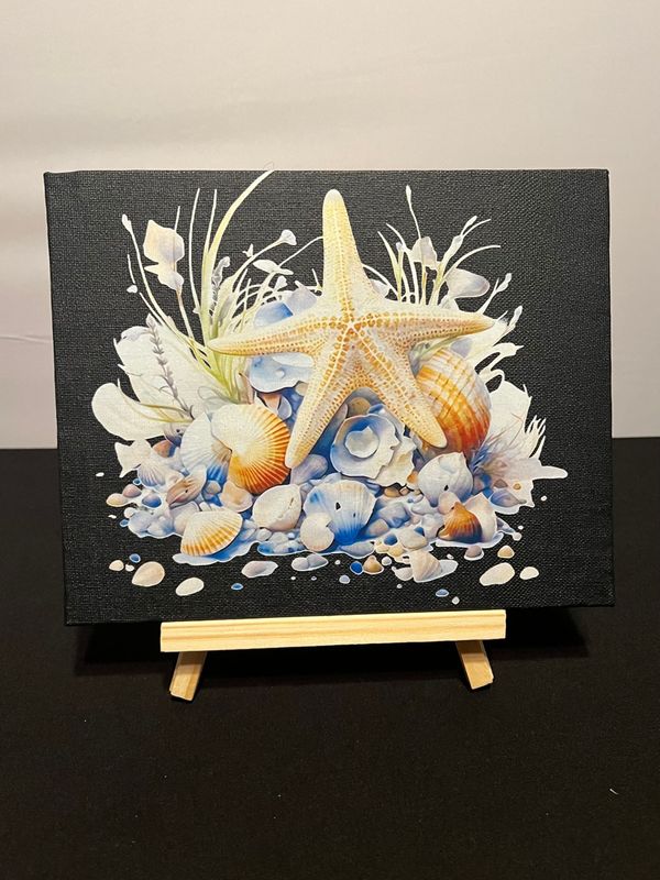 Seashell Seashell