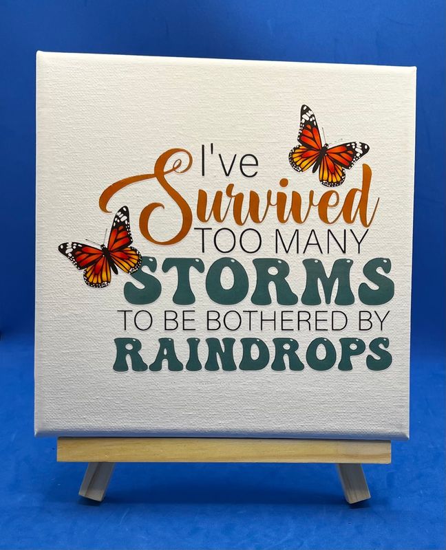 I Survived the Storm I Survived the Storm