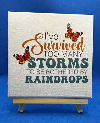 I Survived the Storm I Survived the Storm