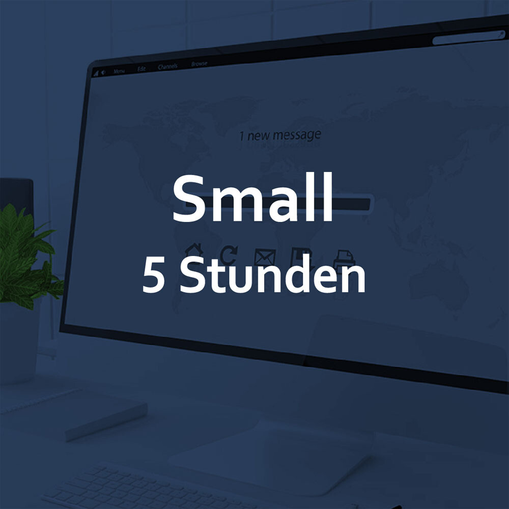 Small - 5 Stunden individuelle Arbeitsleistung