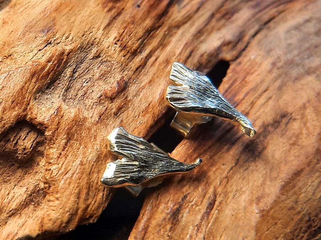 Ohrstecker 'Ginkgo'