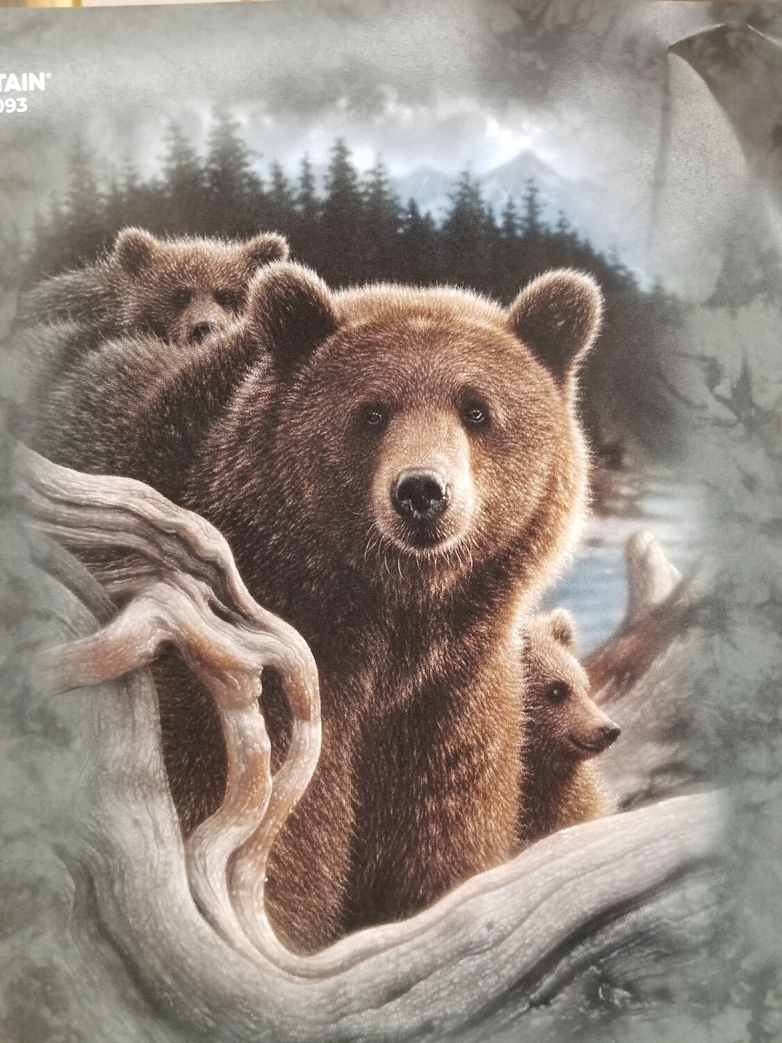 T-Shirt 3 Bears