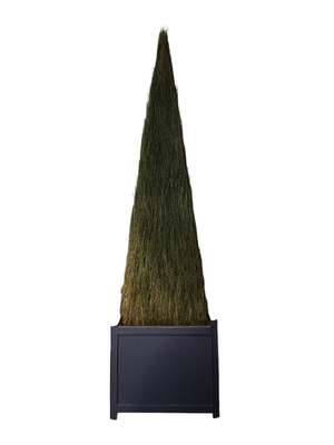 Pyramide végétale sur socle