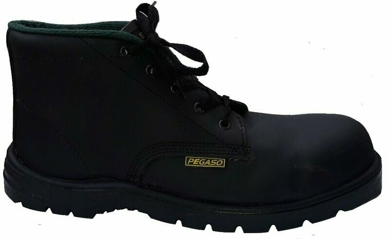 Botin PEGASO