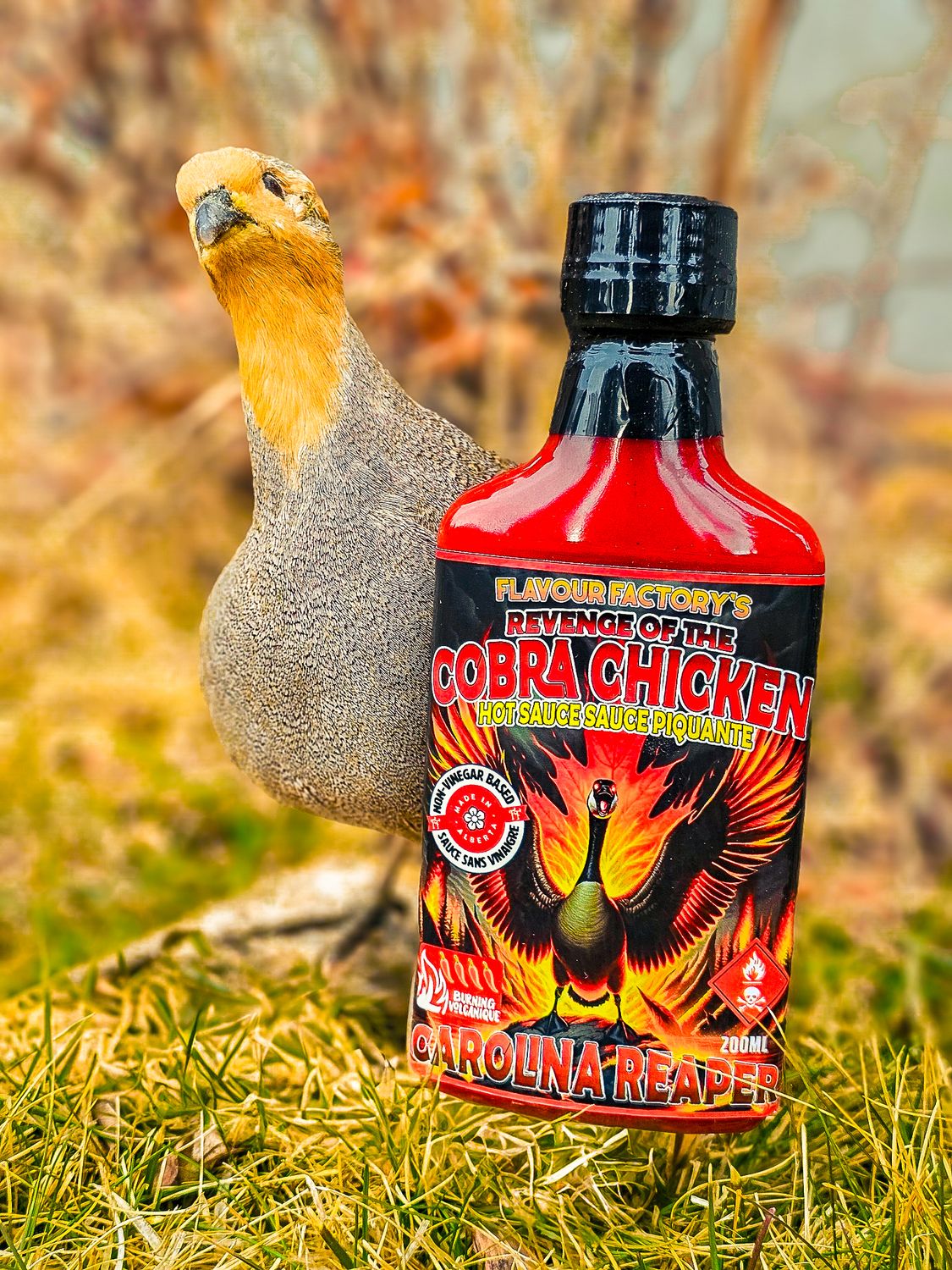 Buy The Extremely Hot Revenge of the Cobra Chicken Hot Sauce