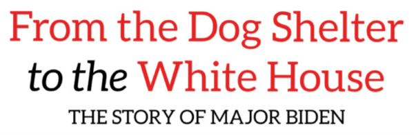 From the Dog Shelter to the White House