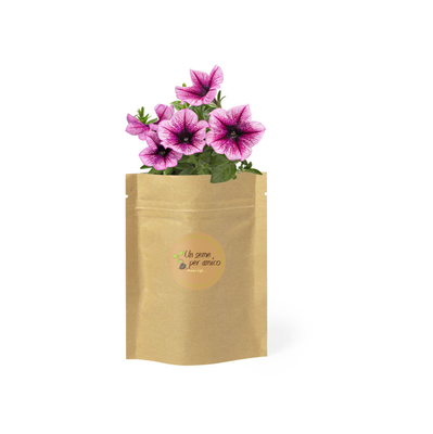 Vaso in busta con semi di Petunia
