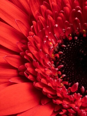 Blumensträuße