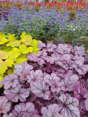 Herbst