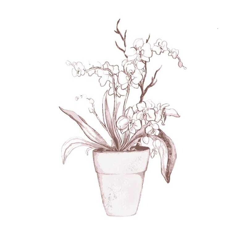 Blomstrende plante