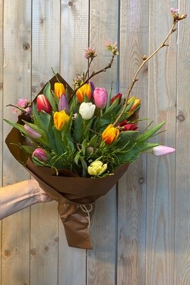 Forårs tulipaner