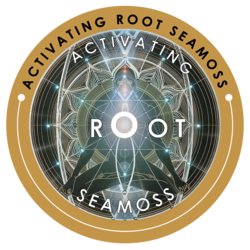Activating Root Sea Moss