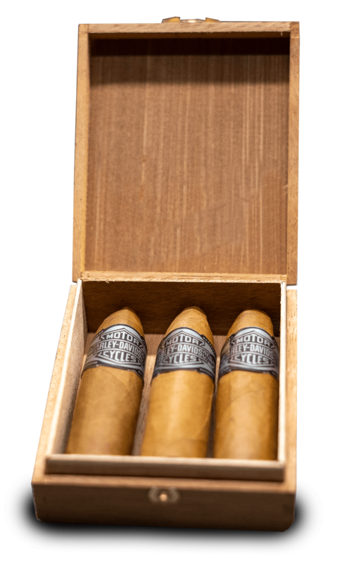 Clubcigarren 3er Sparkplugs Clubcigarren 3er Sparkplugs