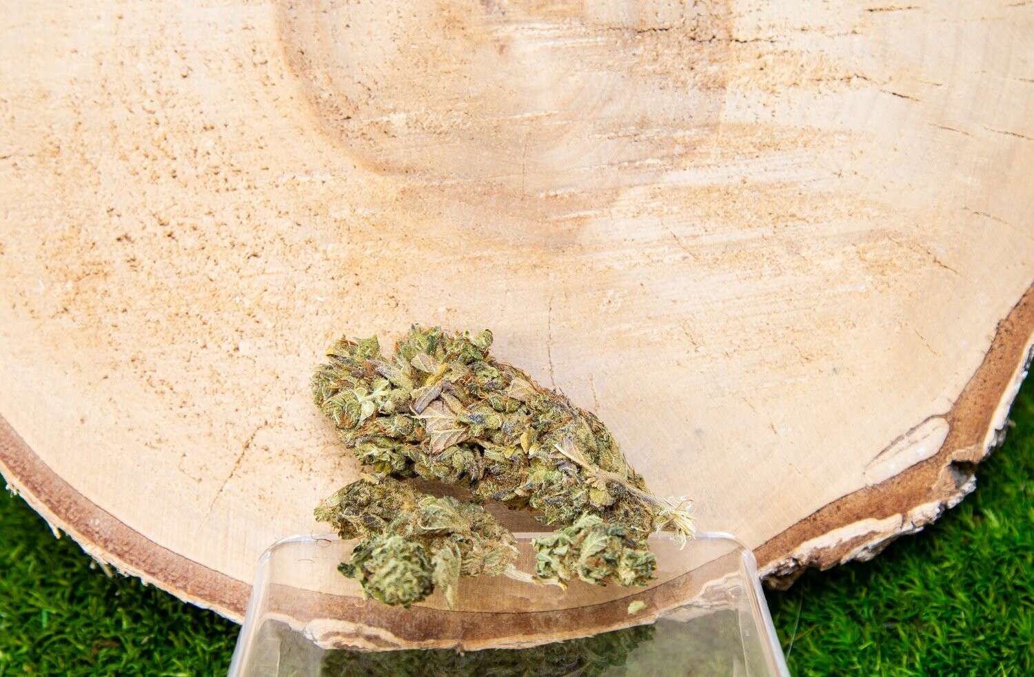 "Green Soul" 2g Greenhouse nach Wahl