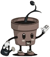 Bavarian Seed Company
