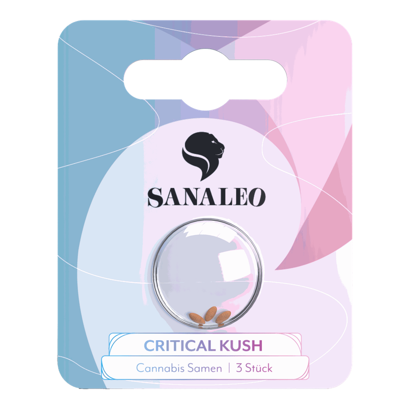"Sanaleo" Critical Kush Autoflowering - 3 Samen