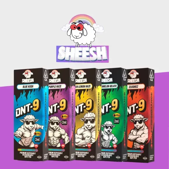 "SHEESH"  DNT-9 - Einweg Vape