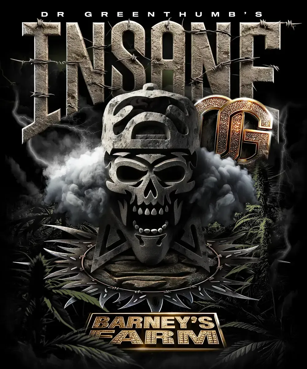 "Barney's Farm" Insane OG Feminisiert - 5 Samen