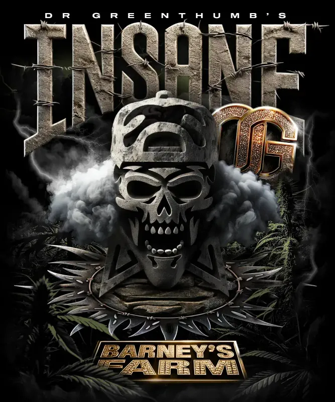 "Barney's Farm" Insane OG Feminisiert - 5 Samen