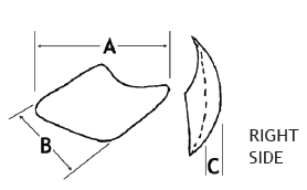 Anatomical Malar